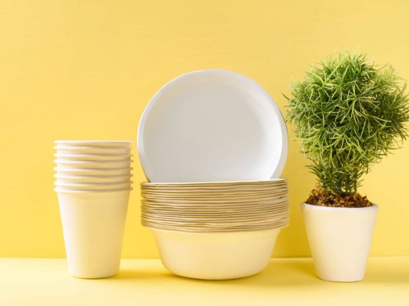 Single-use cups on the left, single-use bowls and a single-use plate in the middle, a plant in a container on the right